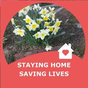 Meet your Posher, Jane